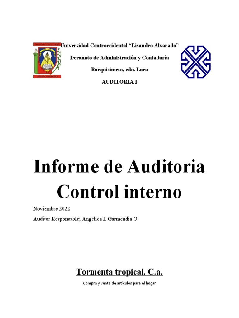 Informe de Auditoría: Control Interno 2022 | PDF | Auditoría | Bancos