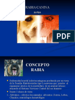 Rabia Canina - 1