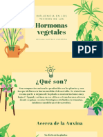 Hormonas en Tejidos Vegetales