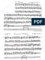 Sanjuanero Tolimense Clarinetes