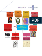 Mapa Mental de La Filosofía y Su Relación Con Otras Ciencias