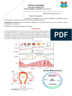 Ciclo menstrual