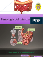 PPT FISIOLOGIA
