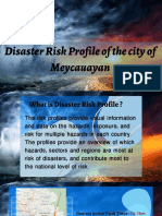Disaster Risk Profile