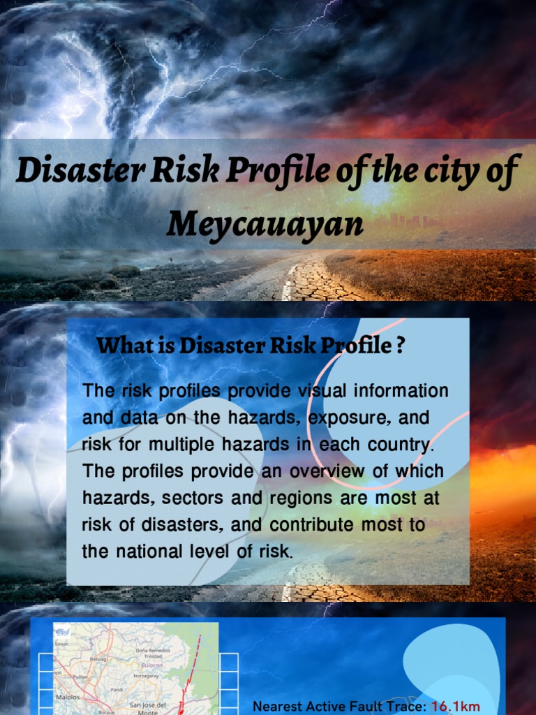 Disaster Risk Profile | PDF | Emergency Management | Hazards