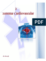 11 Sistema Cardiovascular