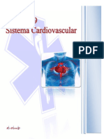 Sistema cardiovascular y circulación