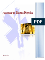 18 Anatomia Del Sistema Digestivo