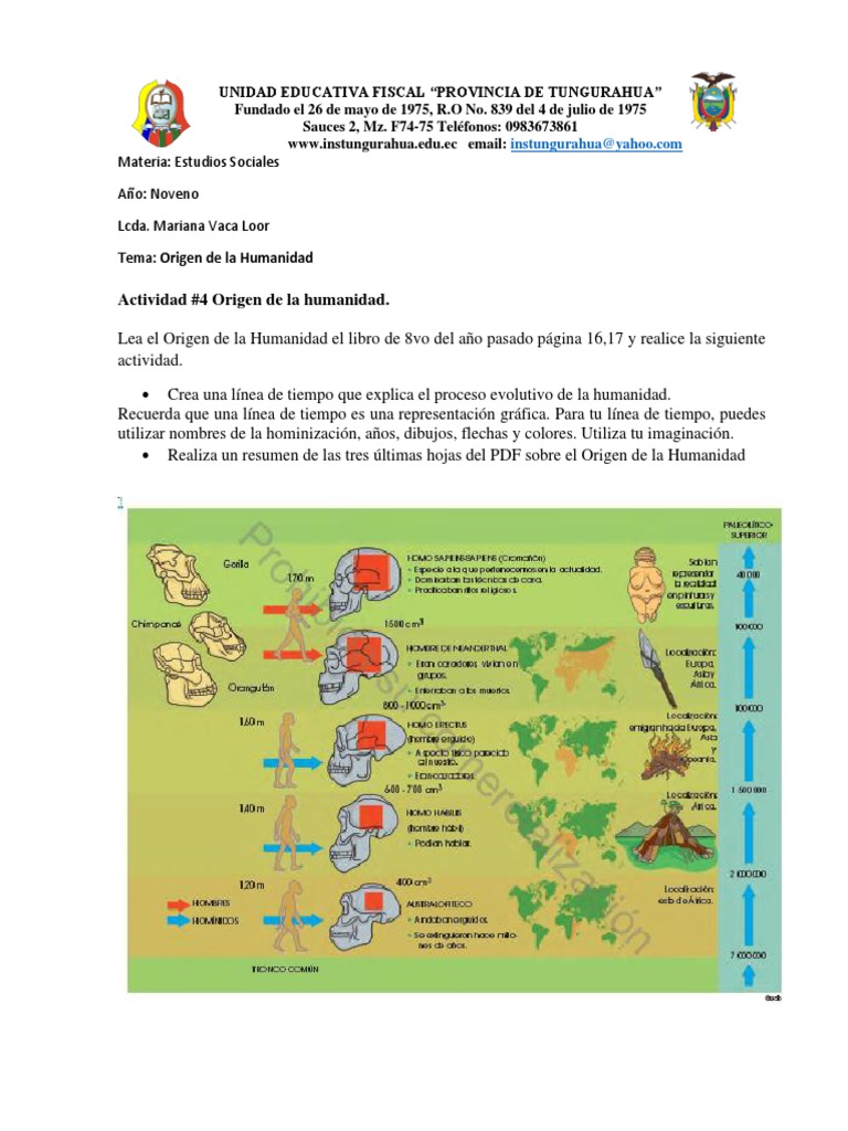 Actividad #4 Origen de La Humanidad | Descargar gratis PDF | Homo ...