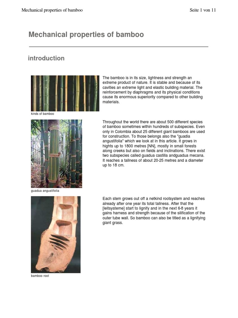 Mechanical Properties of Bamboo | PDF