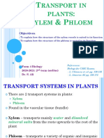 Biology - Transport in Plants - Structure and Function of Xylem and Phloem