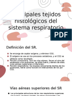 Sistema Respiratorio