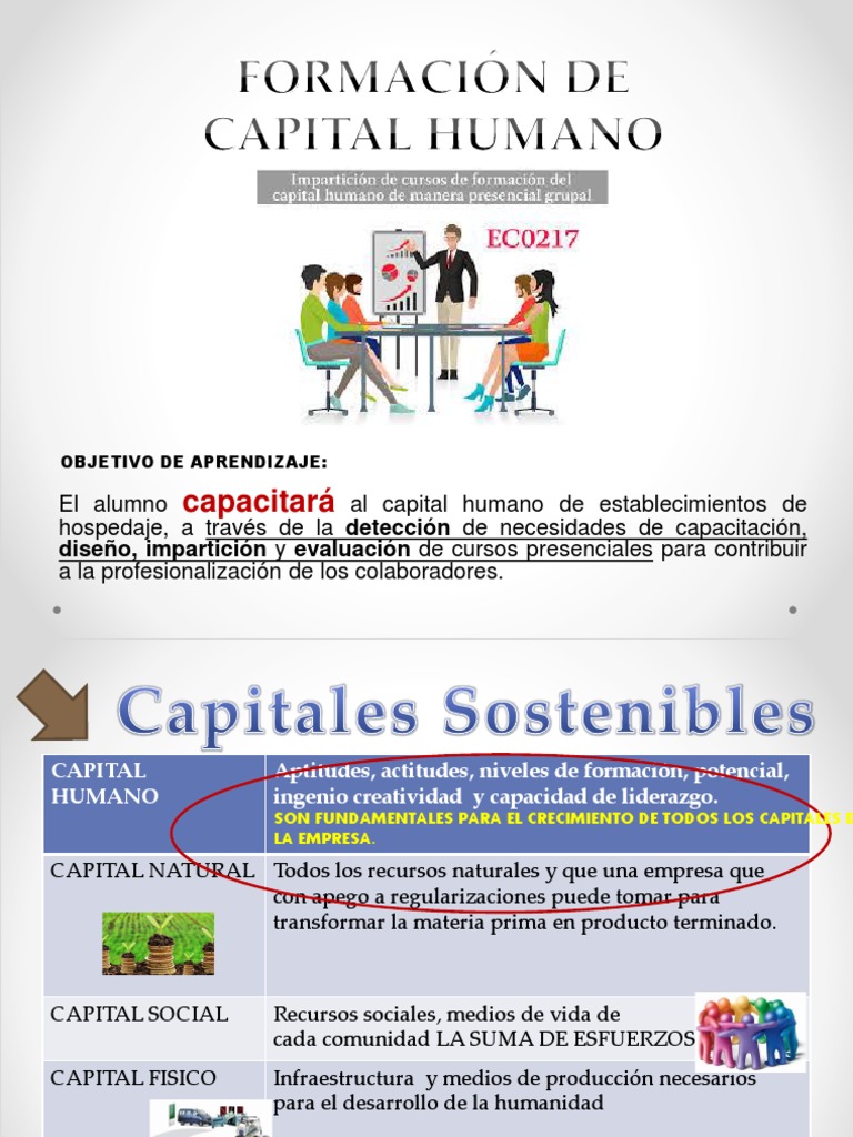 Formacion de Capital Humano | PDF | Aprendizaje | Gestión de recursos