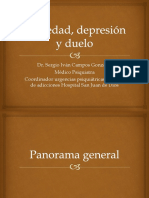 Tema Ansiedad, Depresión y Duelo DR - Campos