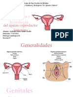 Anatomía e Histología Del Aparato Reproductor Femenino