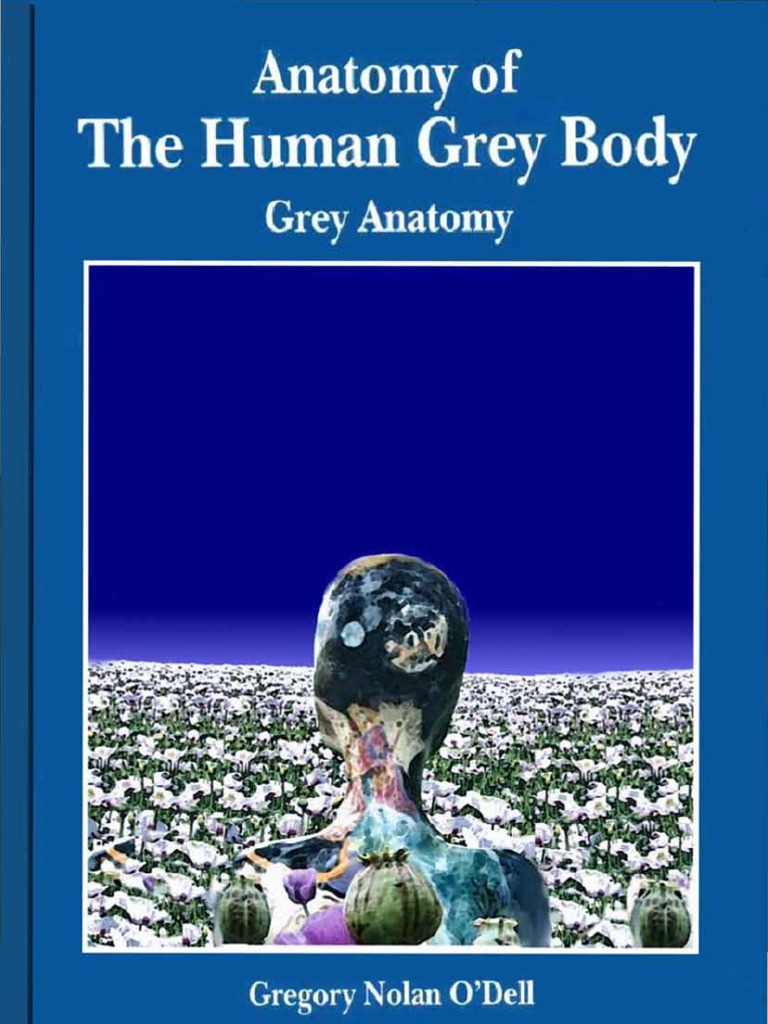 Anatomy of The Human Grey Body: Grey Anatomy | PDF | Plane (Esotericism
