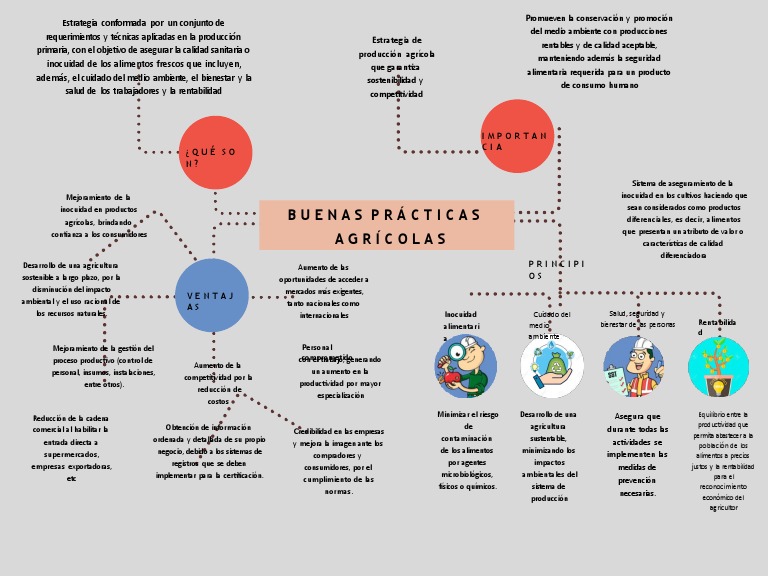 Mapa Conceptual De La Agricultura 2 Pdf Agricultura Alimentos