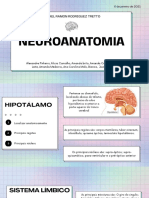 Seminário Neuroanatomia
