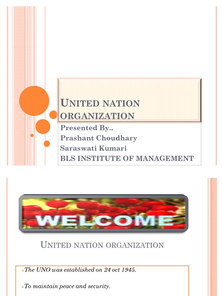 United Nation Organization-Presentation | PDF
