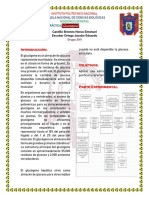 Informe Glucogeno. CBHE Y EOJE. 3IV1