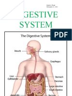 Digestive System Ashley Jane