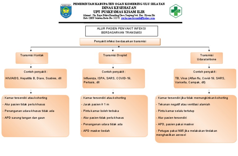 Alur Pelayanan Penyakit Infeksi Berdasarkan Transmisi | PDF
