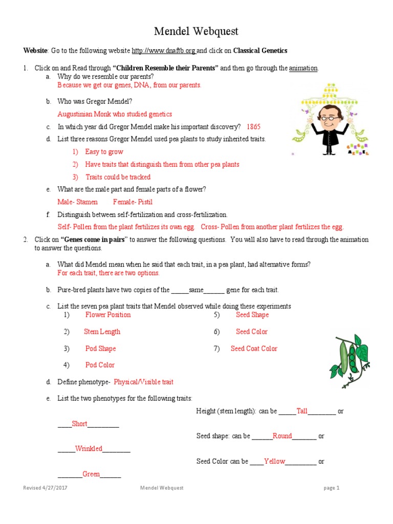 Gregor Mendel visual data 6
