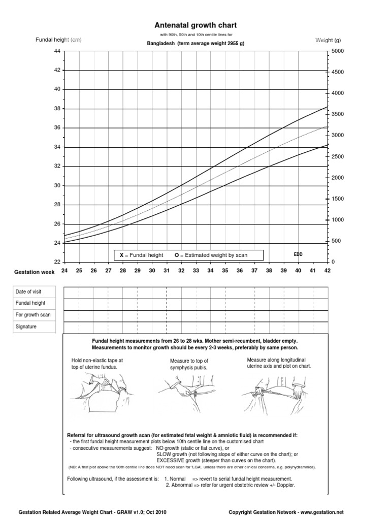 Bangladesh Antenatal Growth Chart PDF