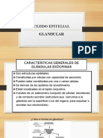 Tejido Epitelial Glandular