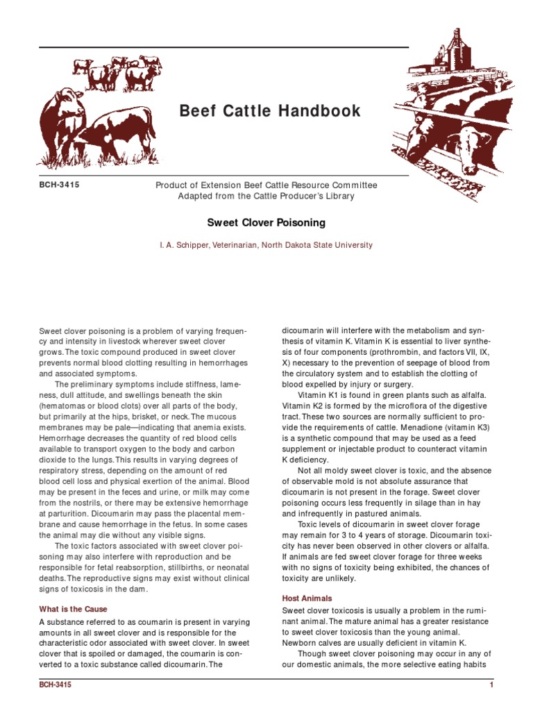 Sweet Clover Poisoning PDF Blood Alfalfa