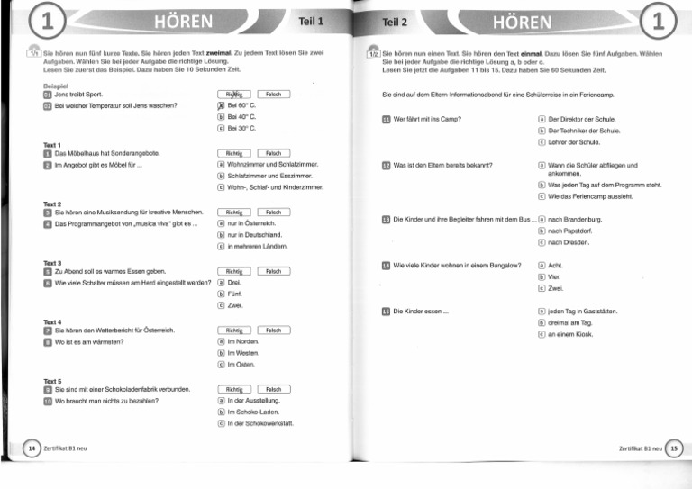 ZERTIFIKAT NEU B1 visual data 2