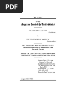 McClinton V US DPI Amicus