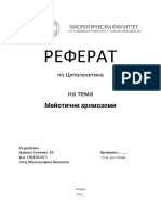 РЕФЕРАТ цитогенетика