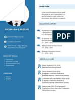 Blue Light Blue Color Blocks Flight Attendant CV