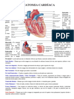 Anatomia e fisiologia cardíaca