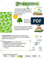 PHOTOSYNTESIS