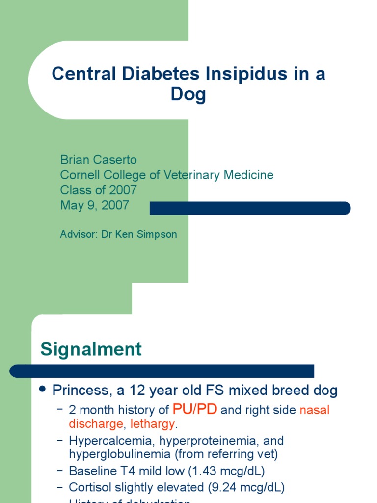 Central Diabetes Insipidus in a Dog Brian Caserto Cornell College of