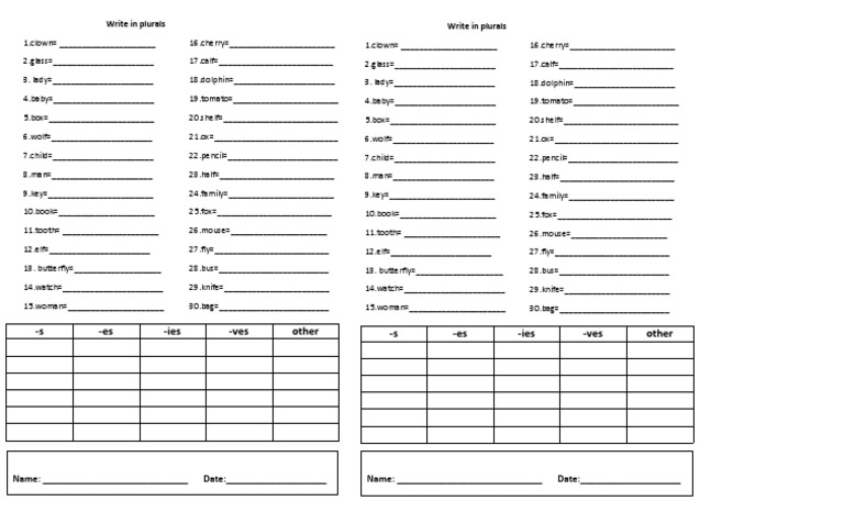 Plural Exercise Worksheet | PDF