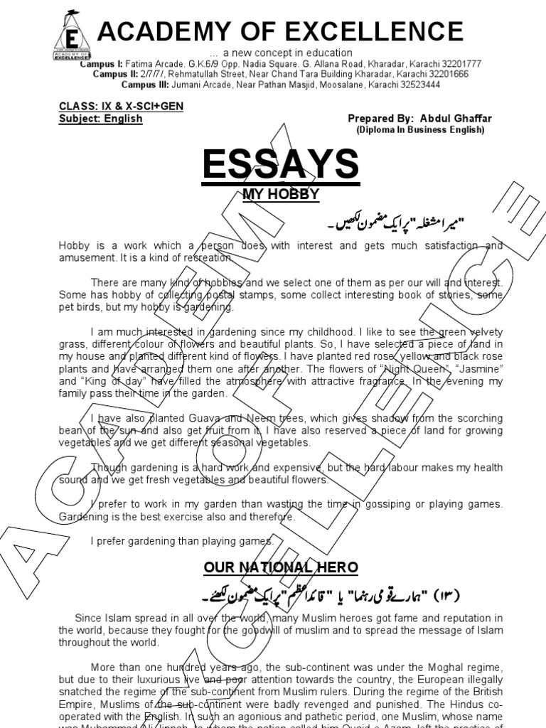 important essays for 9th class 2020