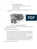 Materi IPA Struktur Dan Fungsi Organ Reproduksi Manusia