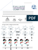 Evaluare Sumativa - CLR