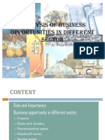 Analysis of Business Opportunities in Different Sector