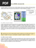 Types de Cellules et leurs Composants | PDF | Cellule (Biologie ...