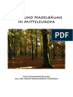 Bäume in Mitteleuropa