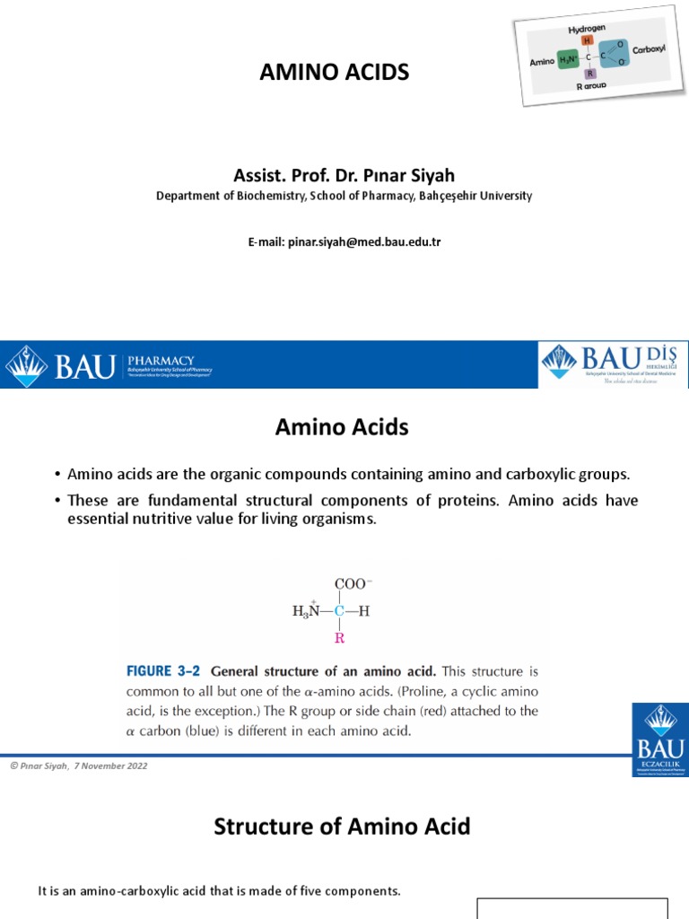 Amino Acids Biochemistry PDF Amino Acid Biosynthesis