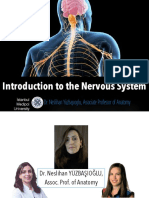 Introduction To Nervous System