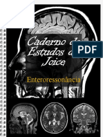 Caderno de Estudos Da Joice - Enteroressonância