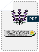 Flipbook Las Plantas PARTES Recursosep BYN