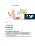 PDF Memahami Dan Menjelaskan Anatomi Dan Fisiologi Nyeri Compress