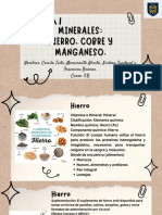 Minerales Hierro - Cobre - Manganeso